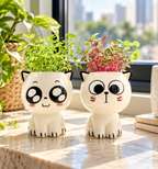 Tiny Kitten Pots