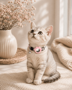 Pink Paw AirTag Pet Collar
