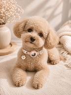 Pink Daisy AirTag Pet Collar