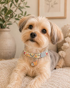 Butterfly Charm Embroidered Pet Collar