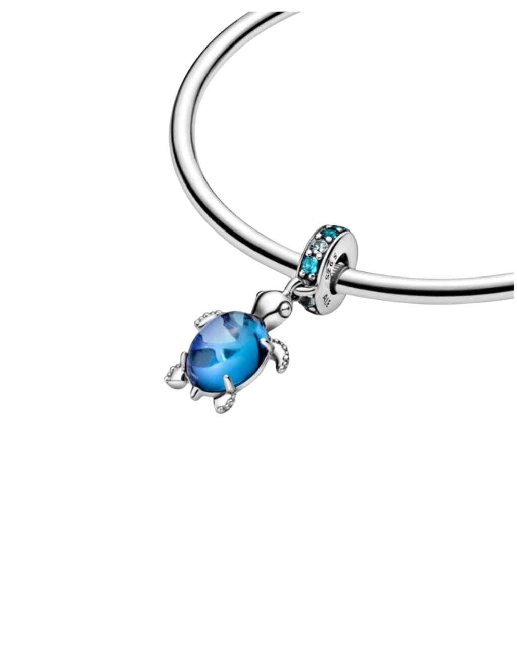 Blue turtle Charm