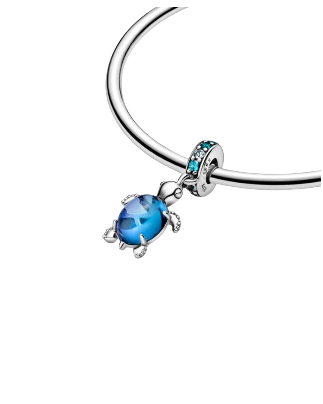 Blue turtle Charm