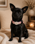 Pretty in Pink Floral Pet Collar