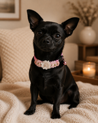 Pretty in Pink Floral Pet Collar