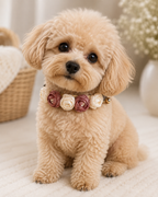Blush & Ivory Floral Pet Collar with Bell