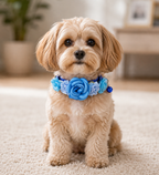 Flower Clustered Pet Collar