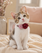 Double Rose Pet Collar in Crimson & Blush