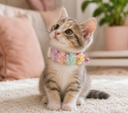 Colourful Floral Pet Collar