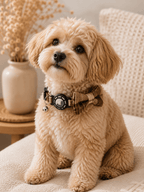 Plaid Bow Pet Collar