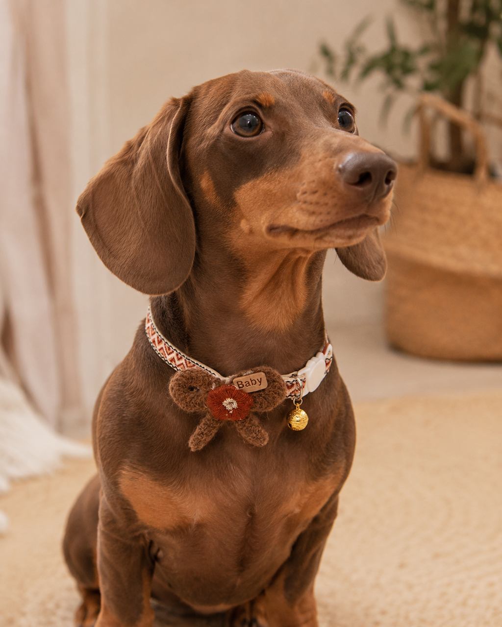 Brown Baby Bow Pet Collar
