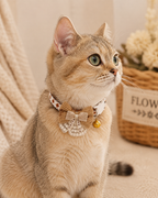 Bow and Lace Pet Collar