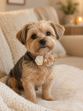 Double Rose Pet Collar in Cream & Beige