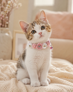 Pink and Floral Pet Collar