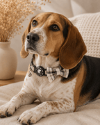 Plaid Bow Pet Collar