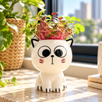 Tiny Kitten Pots