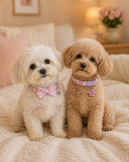 Pink Bow & Purple Flower 2-Piece Pet Collar Set